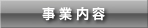 ���Ɠ��e