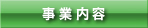 ���Ɠ��e