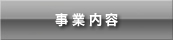 ���Ɠ��e